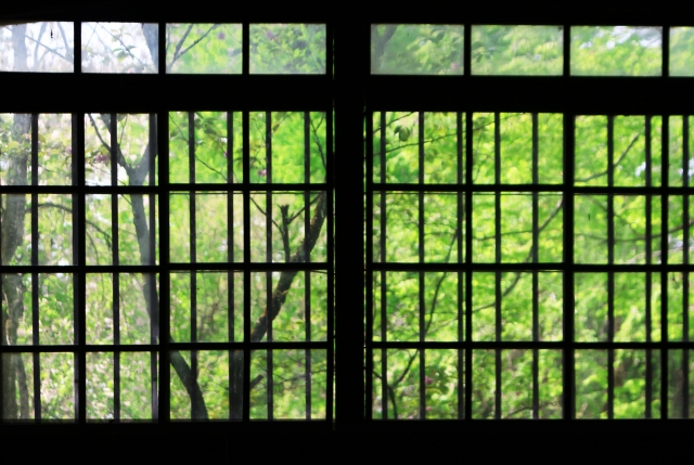 格子窓と木立